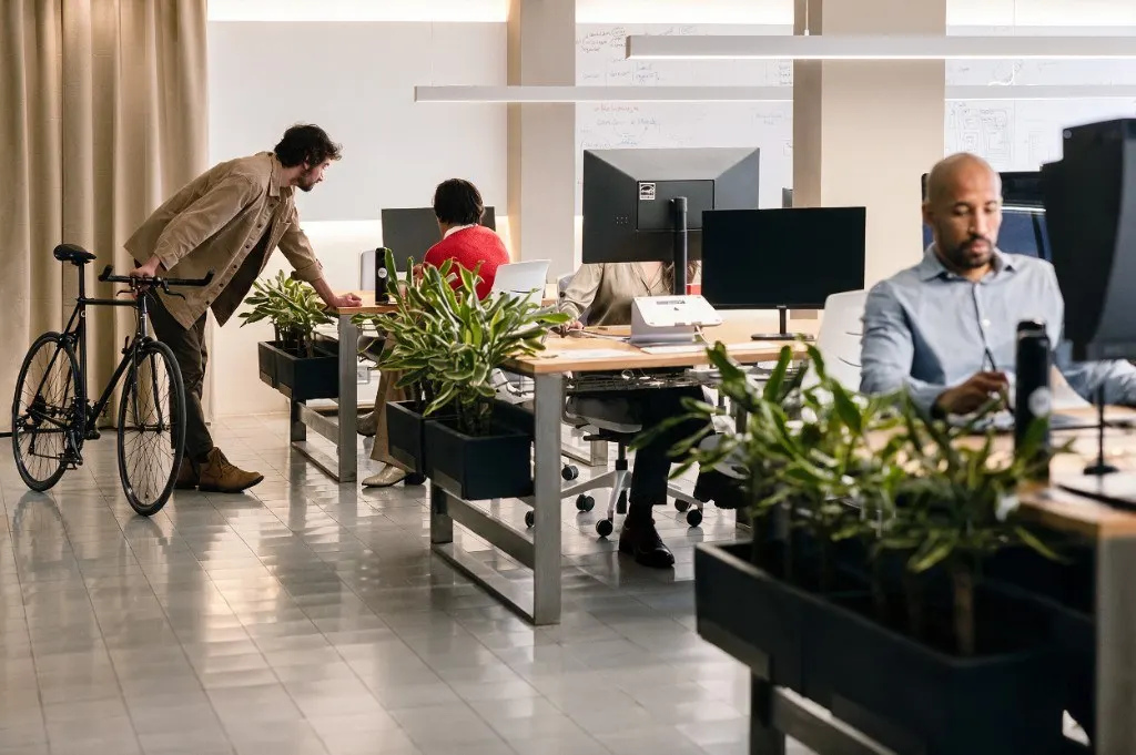 Singular Cowork