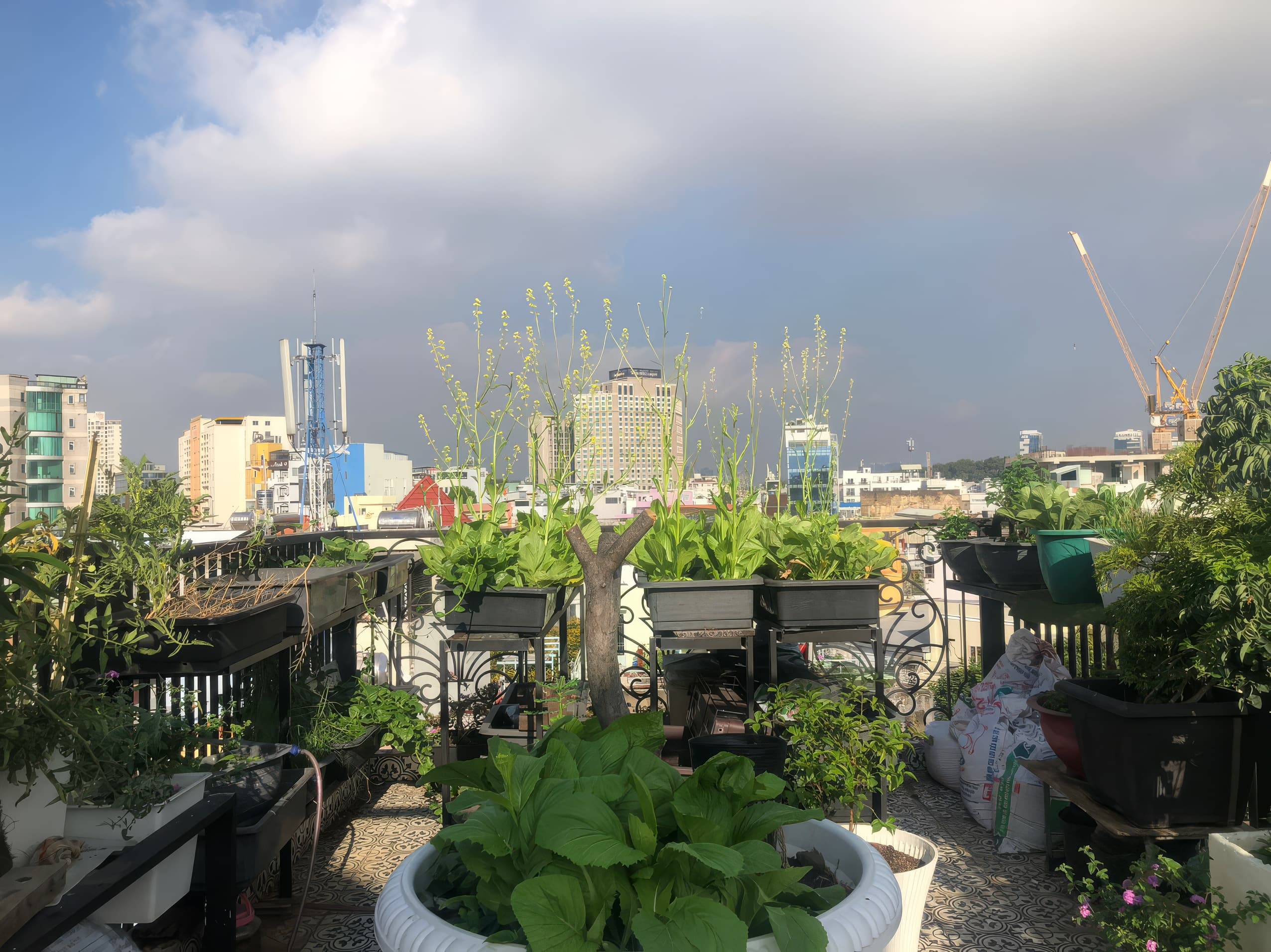 My Stay Hotel & Apartment