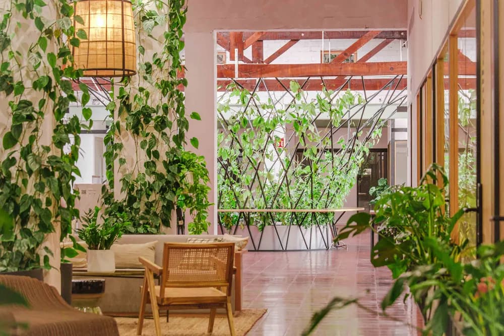 Casa Manglar