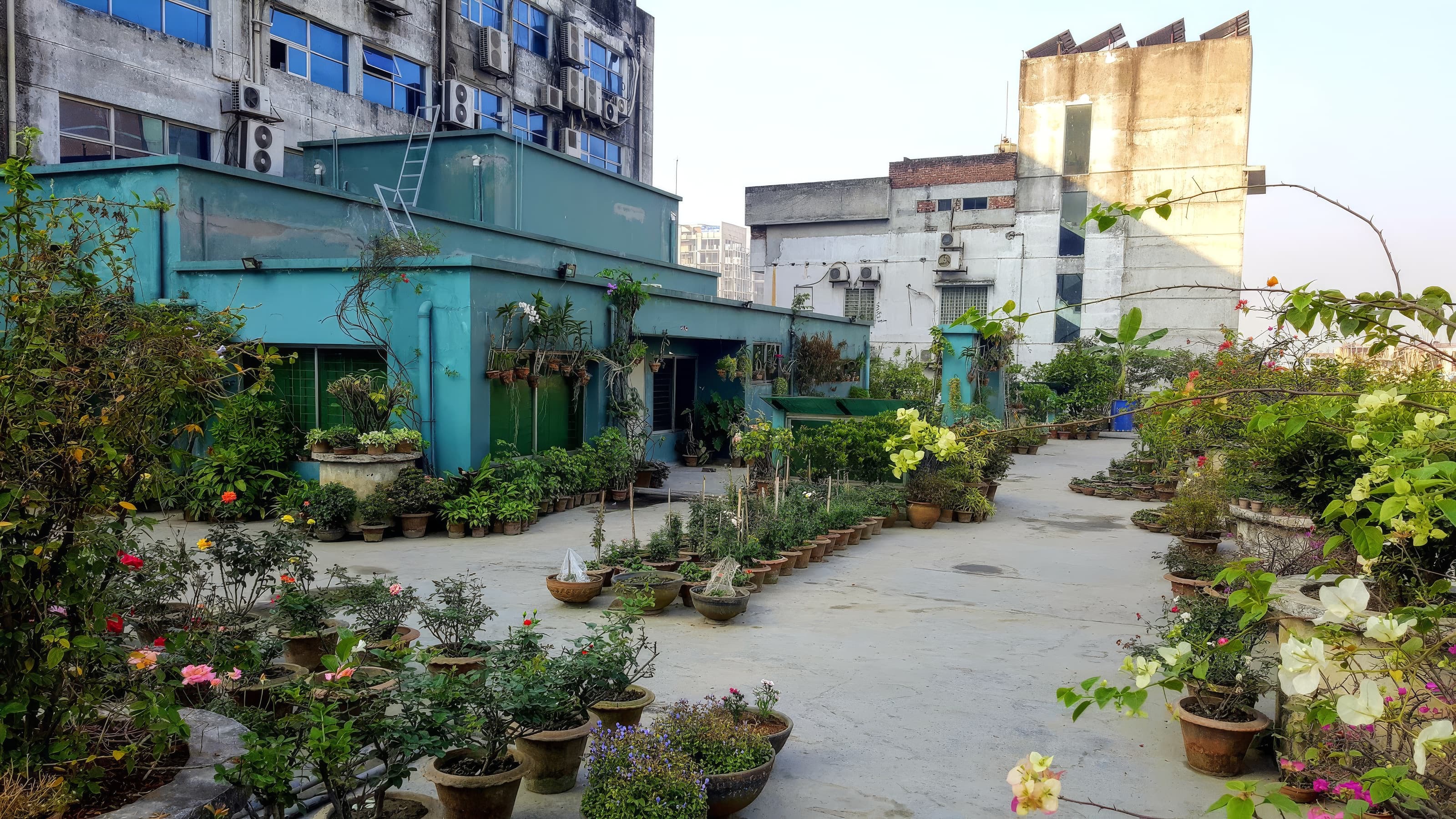 Rafflesia Serviced Apartment