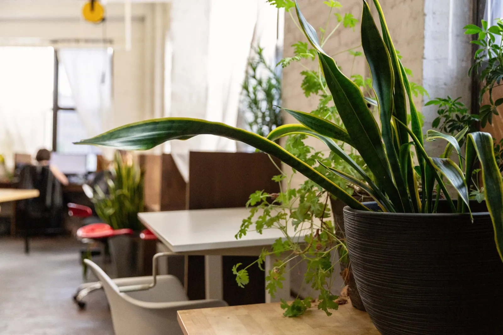 the COMPOUND COWORK