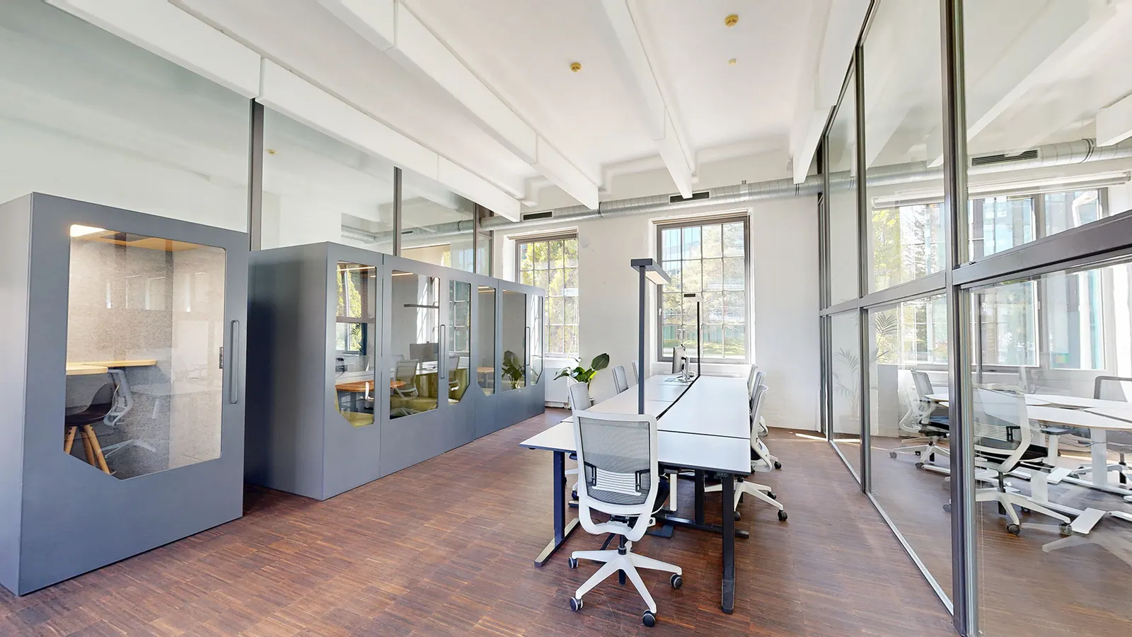 Startup House by Lumia