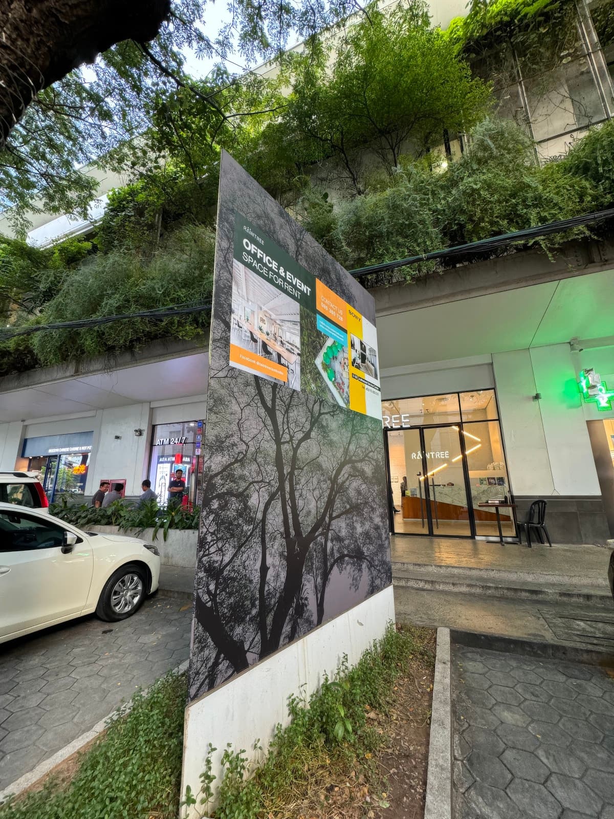 Raintree