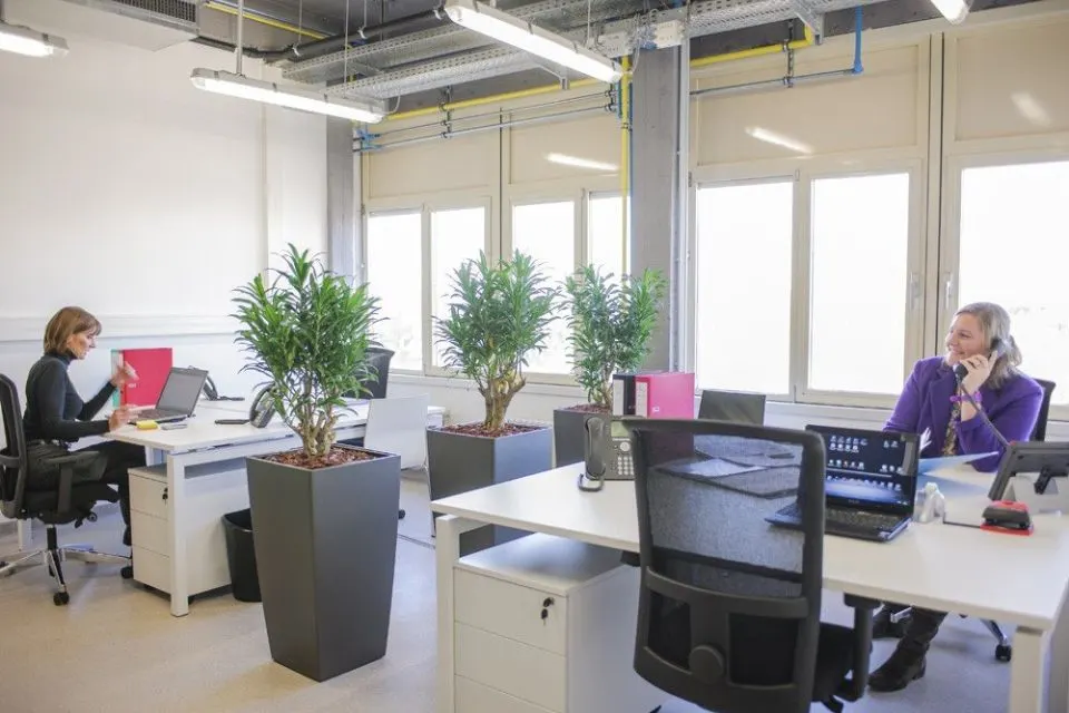 BLSI - Brussels Life Science Incubator